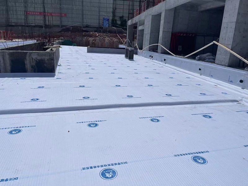 福建DCS零坡度虹吸排水系统广西项目